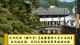 新澳门最精准免费资料大全旅游景点与警惕虚假宣传-全面释义、与落实解答